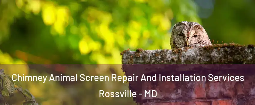  Chimney Animal Screen Repair And Installation Services Rossville - MD
