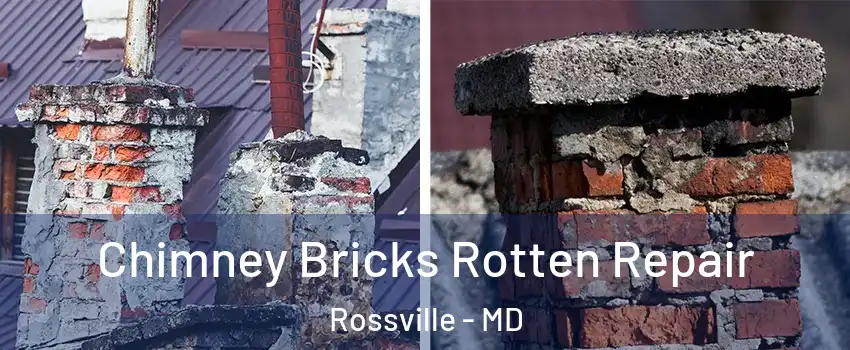  Chimney Bricks Rotten Repair Rossville - MD