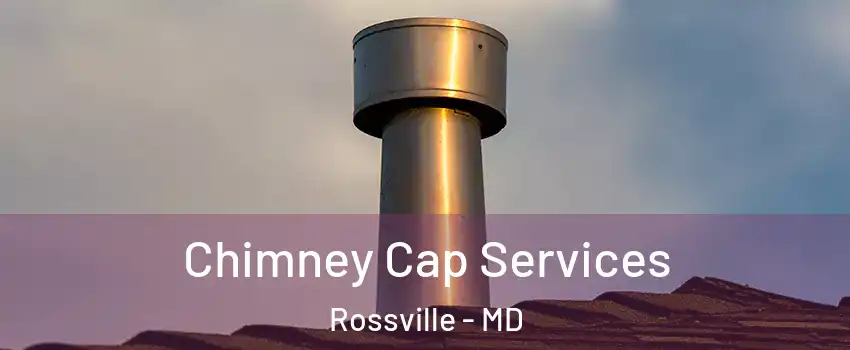  Chimney Cap Services Rossville - MD