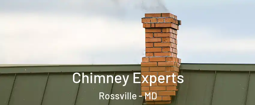 Chimney Experts Rossville - MD