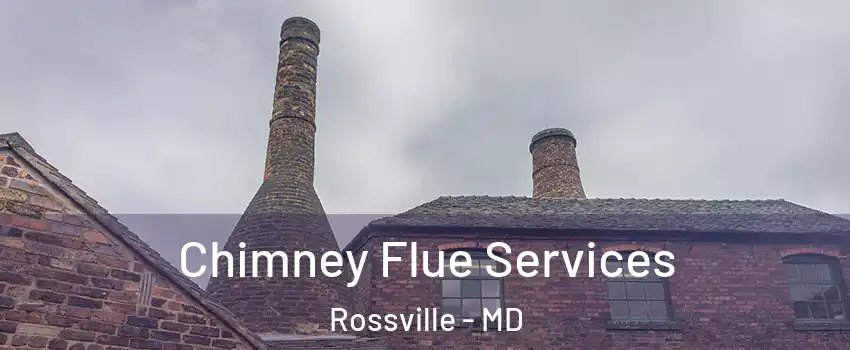  Chimney Flue Services Rossville - MD