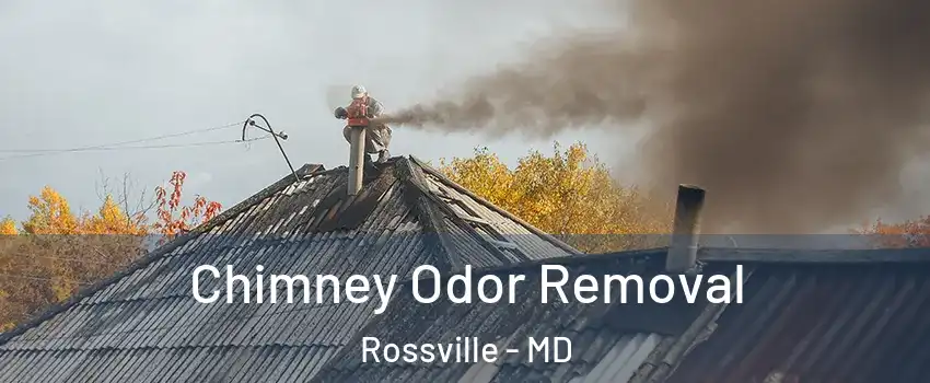  Chimney Odor Removal Rossville - MD