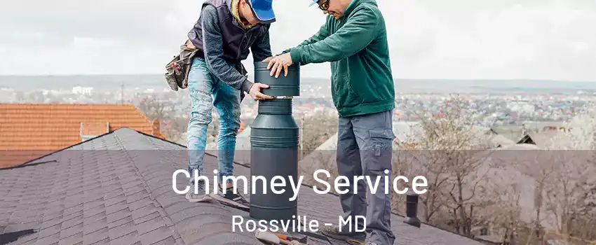  Chimney Service Rossville - MD