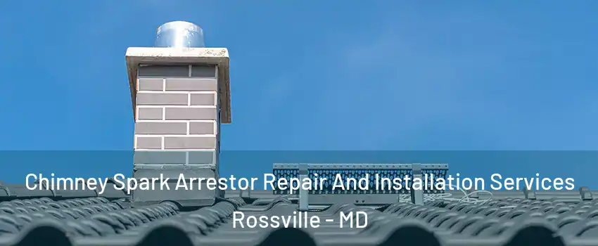  Chimney Spark Arrestor Repair And Installation Services Rossville - MD