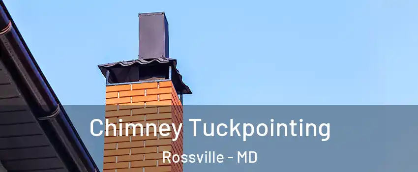  Chimney Tuckpointing Rossville - MD