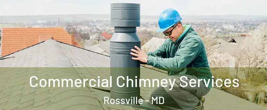  Commercial Chimney Services Rossville - MD