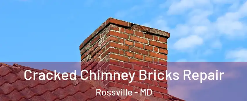  Cracked Chimney Bricks Repair Rossville - MD