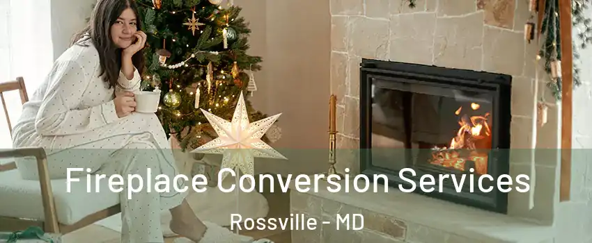  Fireplace Conversion Services Rossville - MD