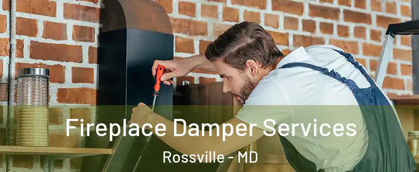  Fireplace Damper Services Rossville - MD