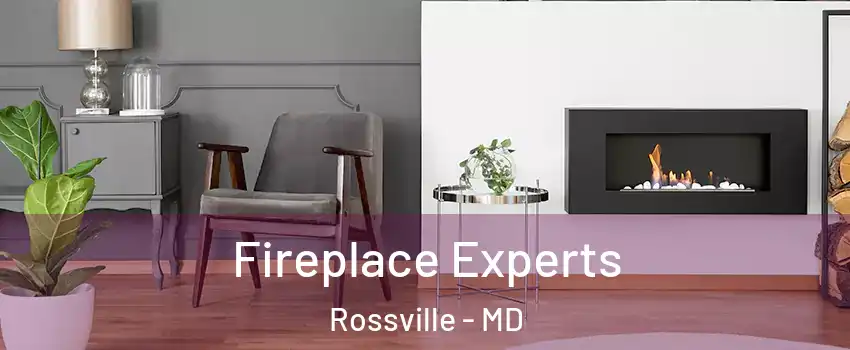  Fireplace Experts Rossville - MD