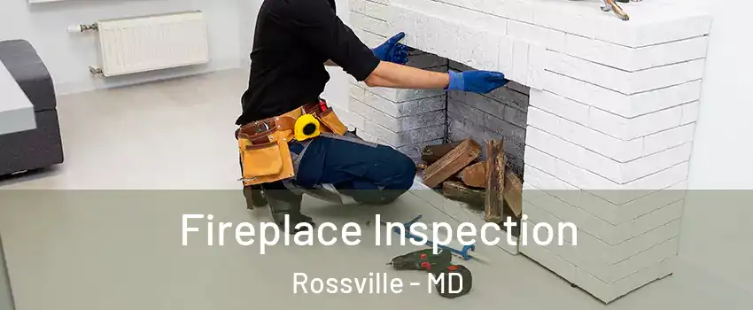  Fireplace Inspection Rossville - MD