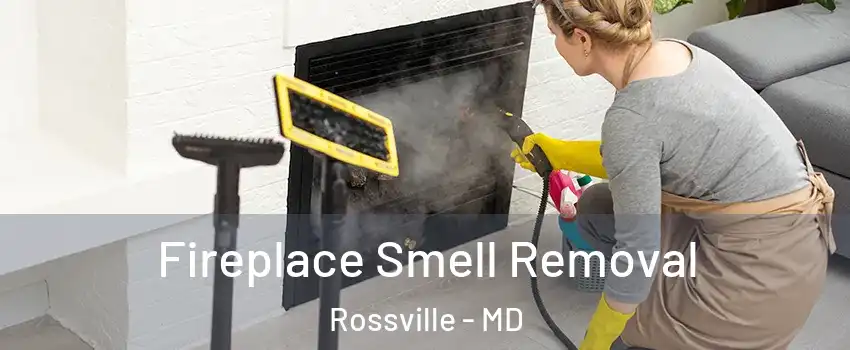  Fireplace Smell Removal Rossville - MD