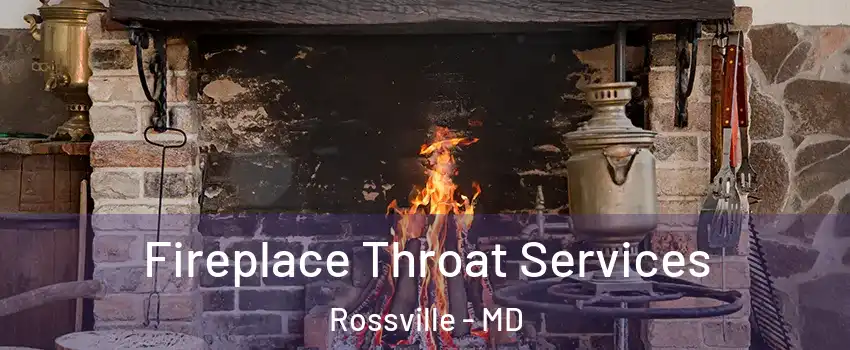  Fireplace Throat Services Rossville - MD