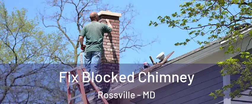  Fix Blocked Chimney Rossville - MD