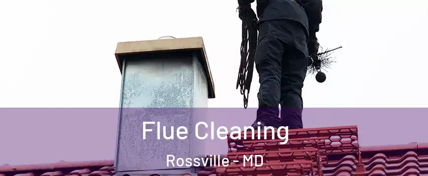 Flue Cleaning Rossville - MD