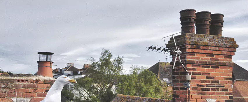 Chimney Cleaning And Restoration in Rossville, Maryland