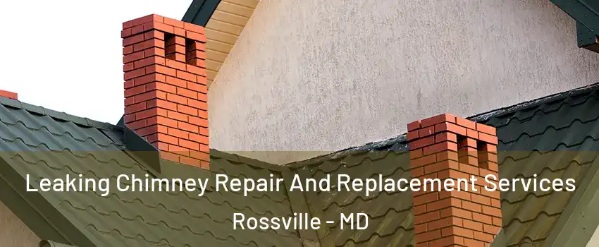  Leaking Chimney Repair And Replacement Services Rossville - MD