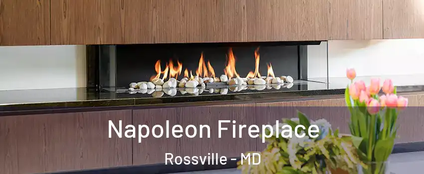  Napoleon Fireplace Rossville - MD